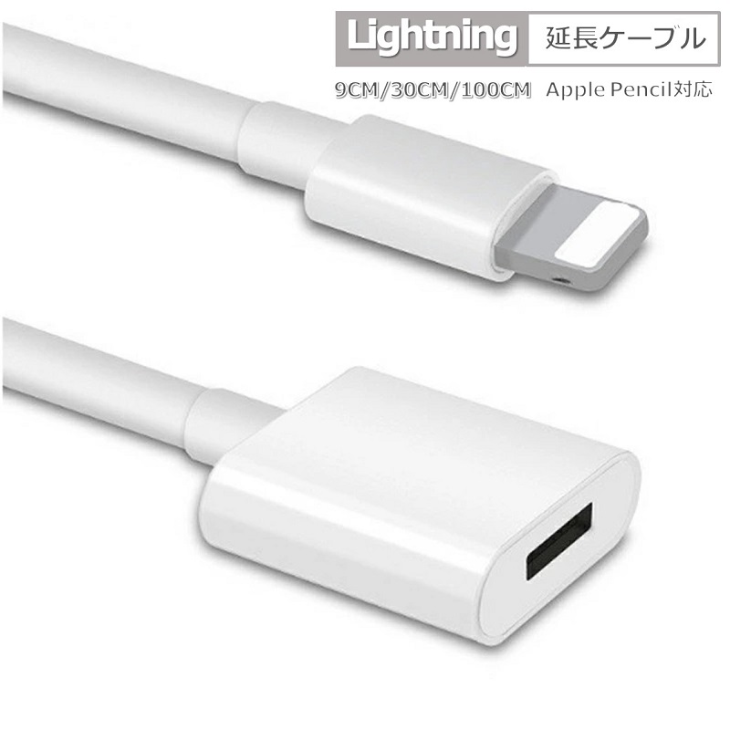 Apple Pencil 充電ケーブル