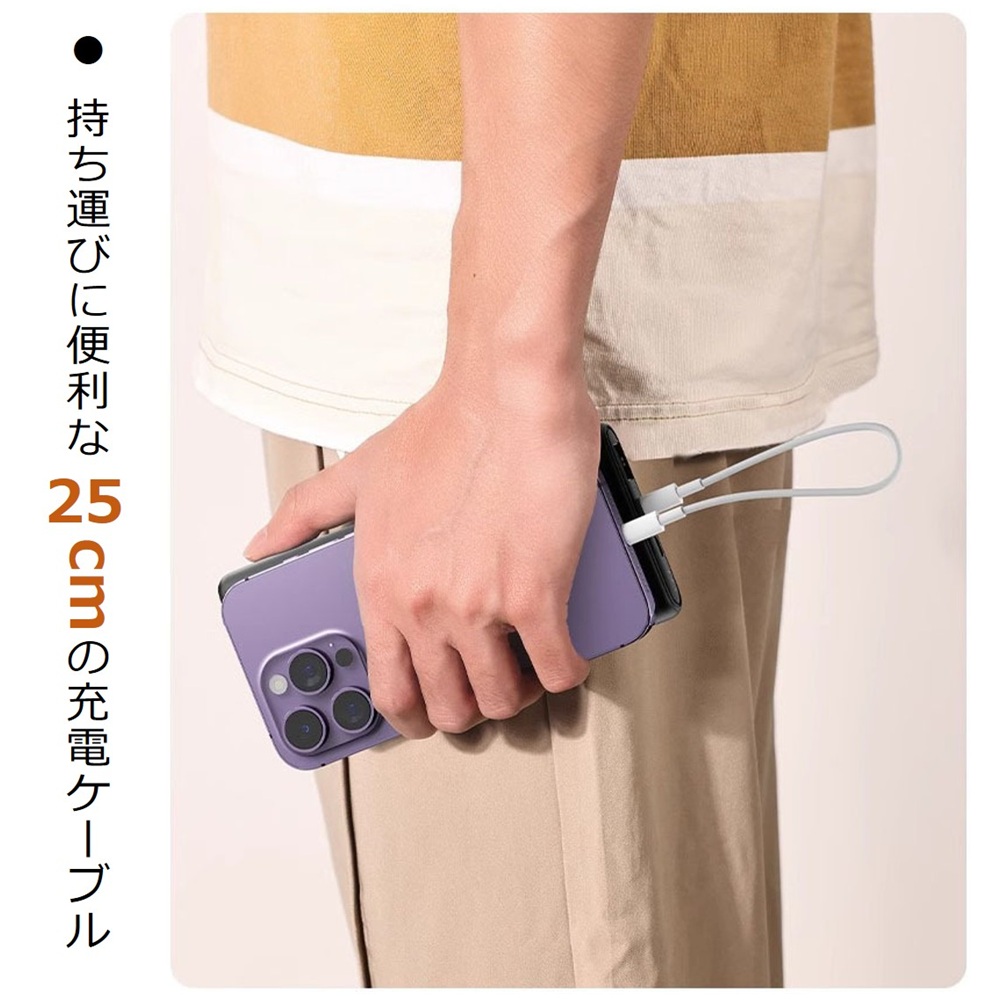 Lightning ライトニング ケーブル 25CM