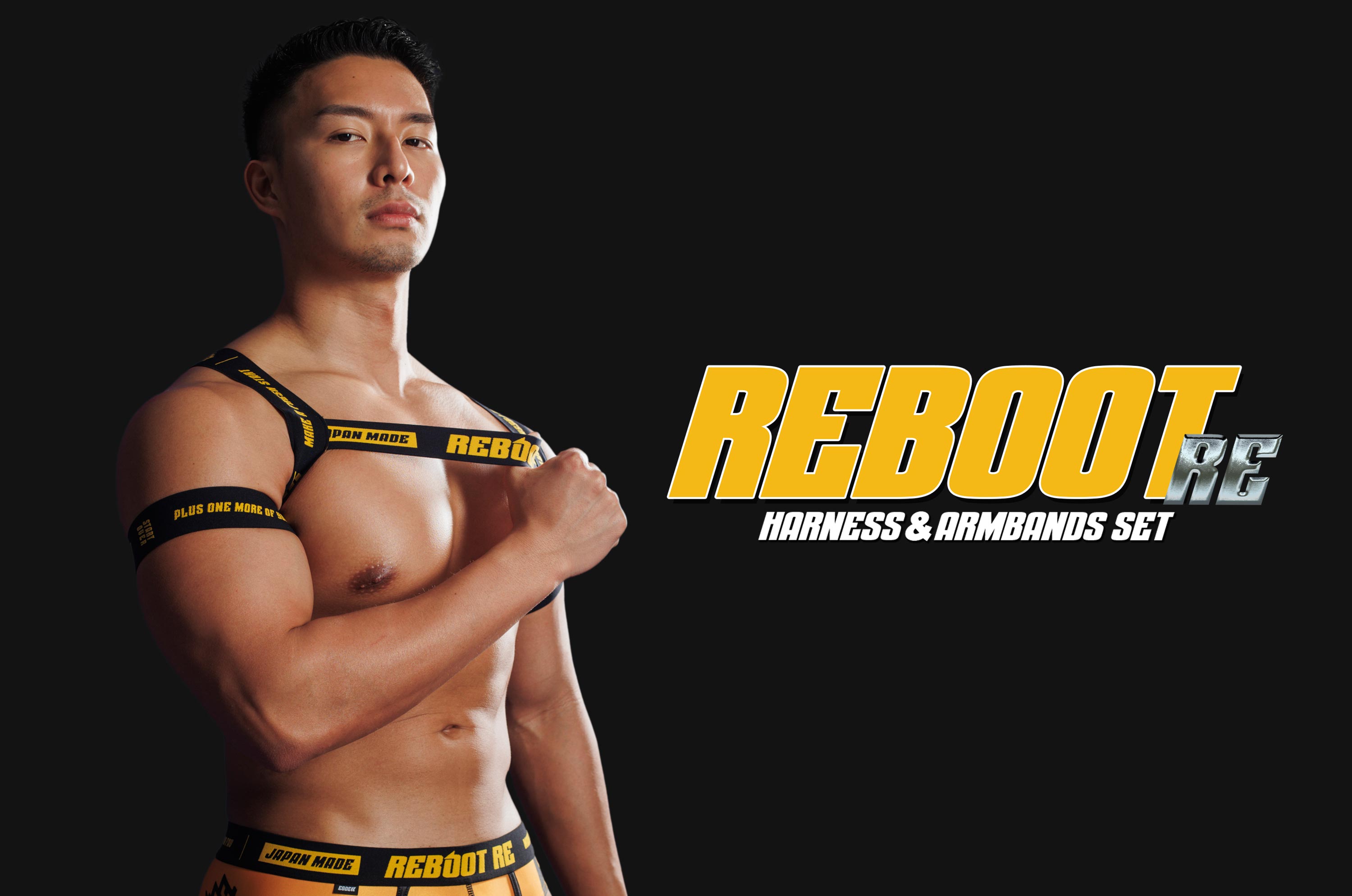 EGDE 【4045】REBOOT RE harness & armbands set : EGDE公式Yahoo!店