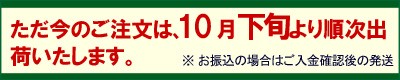 10月下旬より順次出荷