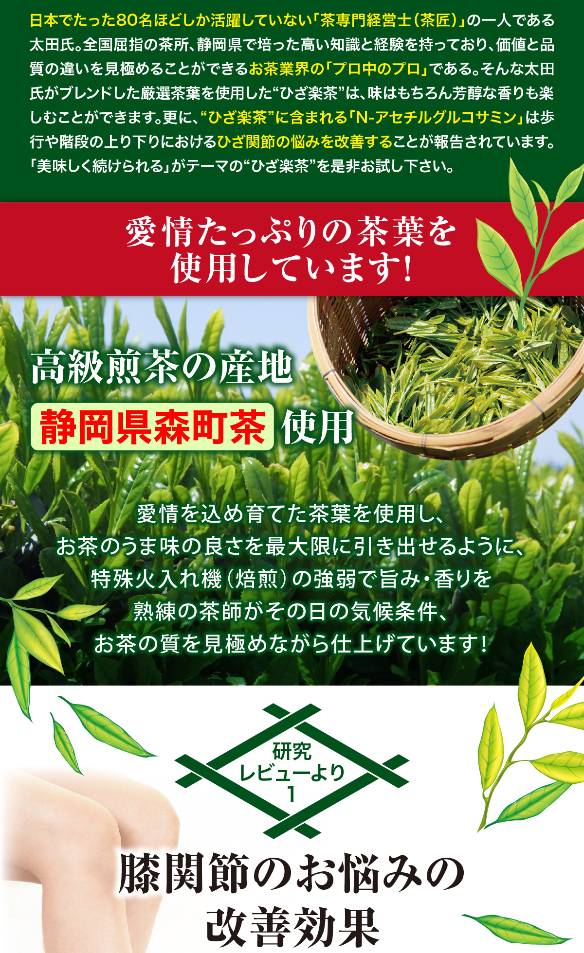 機能性表示食品 ひざ楽茶 ひざ関節の悩みを改善する 静岡県森町