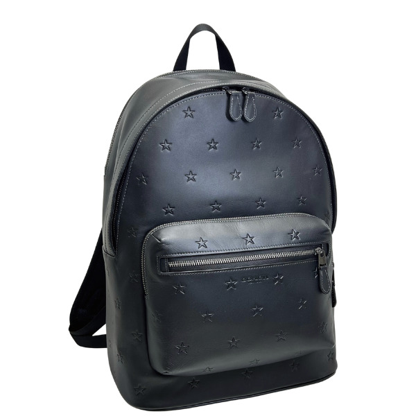 COACH バックパック 黒 青 白 ストライプ ストライプ Coach(コーチ) バックパック・リュック(メンズ