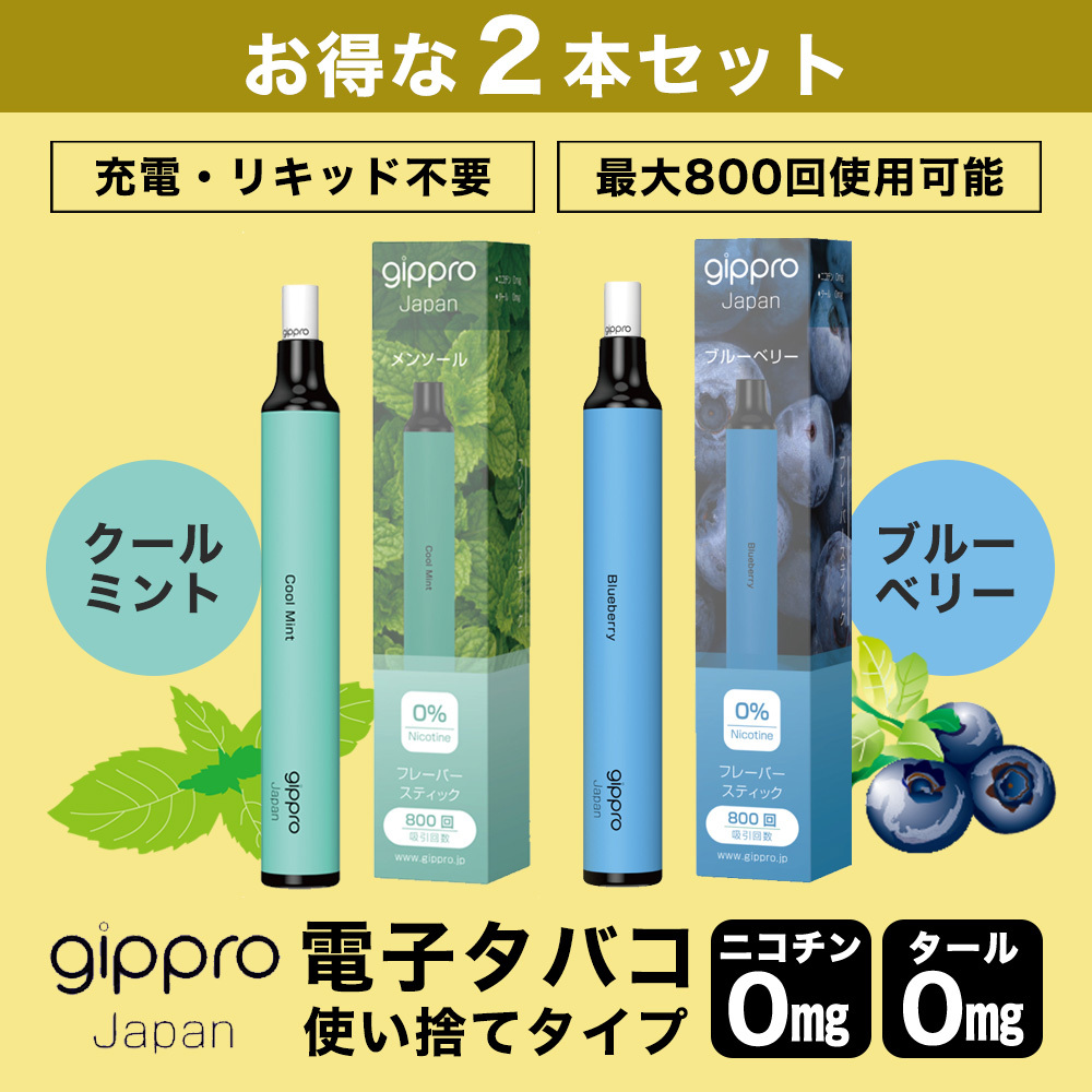 gipproフレーバースティック10本ブルーベリー