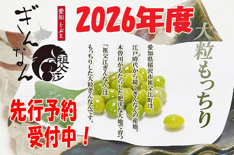 2026年度 先行予約《日本国内産》 江戸時代から続く銀杏産地 祖父江 藤