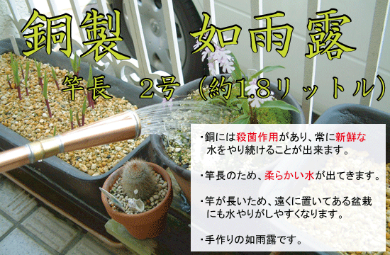 如雨露：銅製竿長盆栽如雨露 2号 1.8L *2号 90220-2 ジョーロ じ