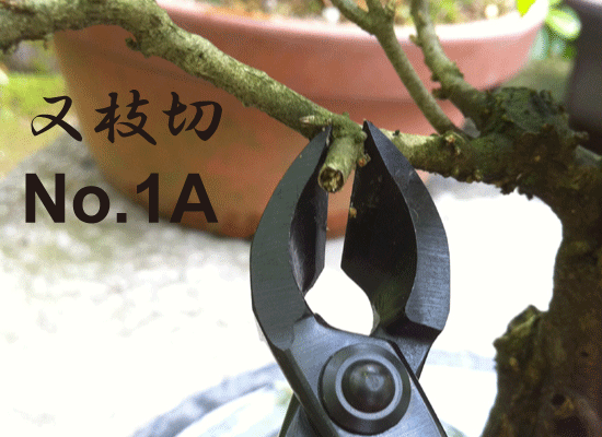盆栽道具：兼進作 又枝切り鋏 （小）No.1A*資材 : 遊恵盆栽