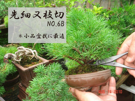 兼進作：先細又枝切鋏 No.6B*資材 : 遊恵盆栽 Yahoo!店 - 通販