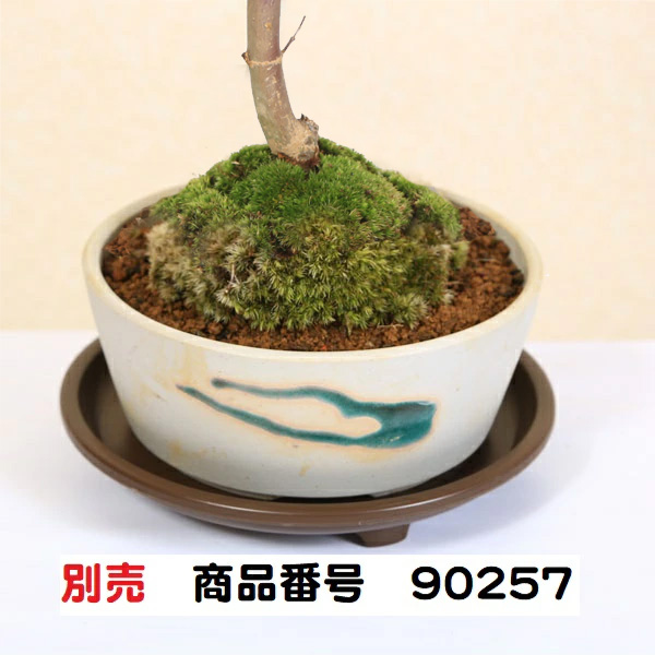 受け皿