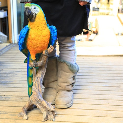 ✢ちょっと大きい立てて飾れるインコさん✢ 雑貨 置物 フィギュア：インコ青 超特大* 大型ヤマト便 : 遊恵盆栽