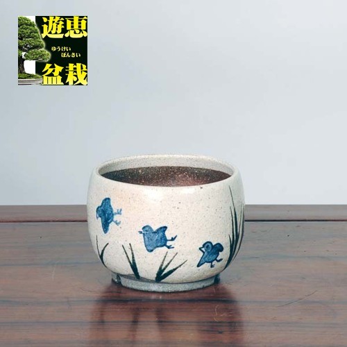 信楽焼：粉引絵付鉢（千鳥）11.5cm* 資材 : 遊恵盆栽 Yahoo!店 - 通販