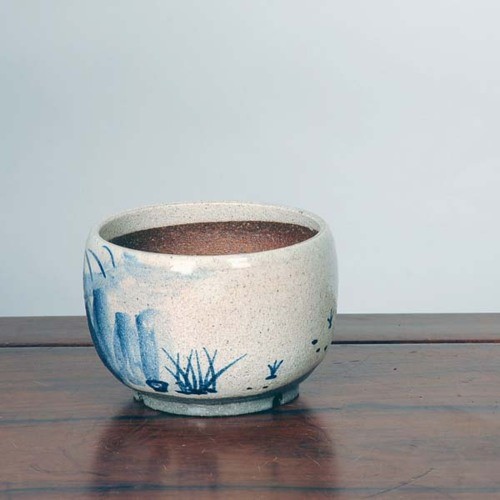 信楽焼：粉引絵付鉢（カニ）11.5cm* 資材 : 遊恵盆栽 Yahoo!店 - 通販