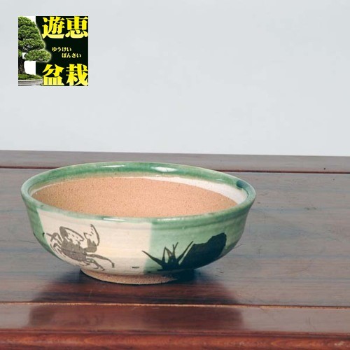 信楽焼：カニ織部絵付浅鉢 5号* 資材 : 遊恵盆栽 Yahoo!店 - 通販