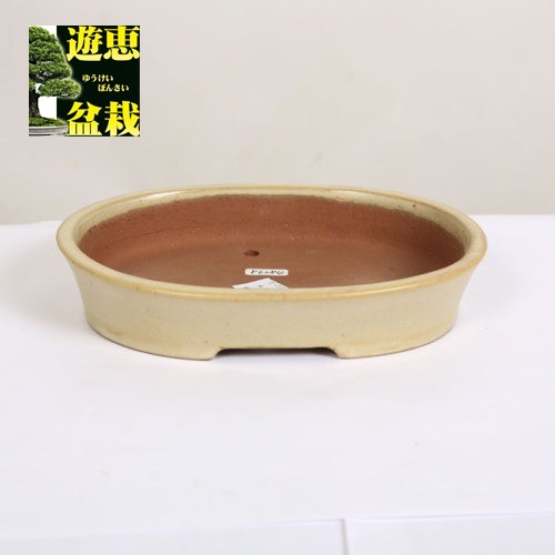 楕円鉢 現品*資材 柴勝 | Yahoo!オークション - 「柴勝 鉢」の落札相場 