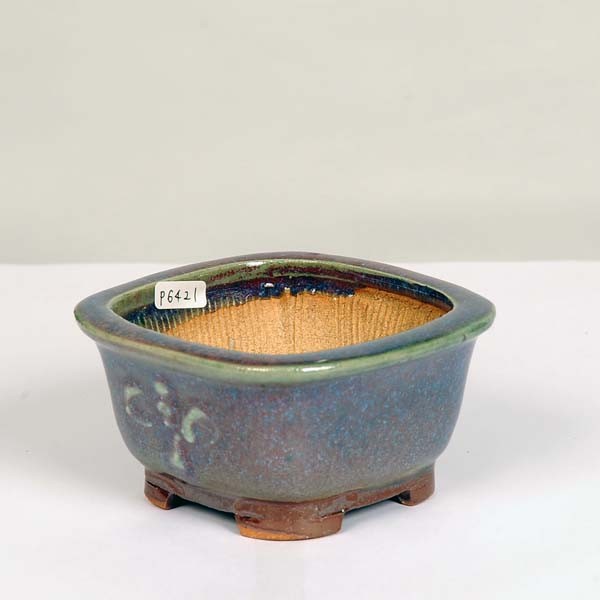 虹泉　盆栽鉢　楕円　浅め 楽天市場】【中古】盆栽鉢 平安 虹泉 小型 長辺 約11.5cm 楕円鉢 貫入