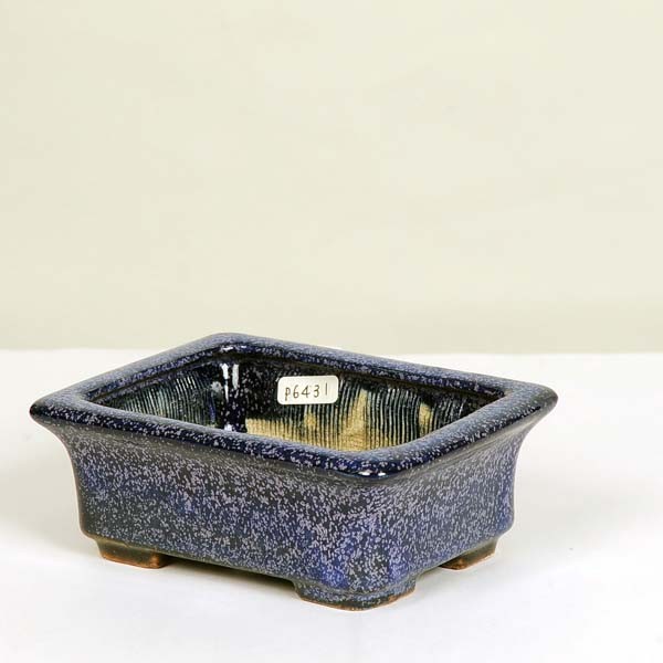 現代小鉢：平安虹泉 縁付長方鉢 12.3cm【現】*資材 : 遊恵盆栽