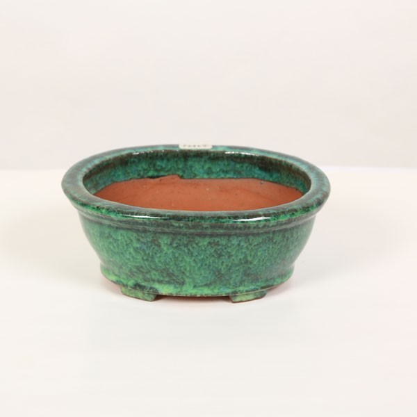 秀峰 盆栽鉢 山野草 常滑作家:秀峰(しゅうほう) 楕円鉢 15.7cm【現】*資材 : 遊恵