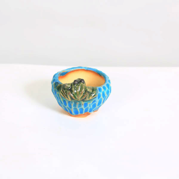 現代小鉢：古本正志 蛙付き丸鉢 4.3cm【現】*資材 : 遊恵盆栽 Yahoo!店