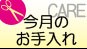 今月のお手入れ