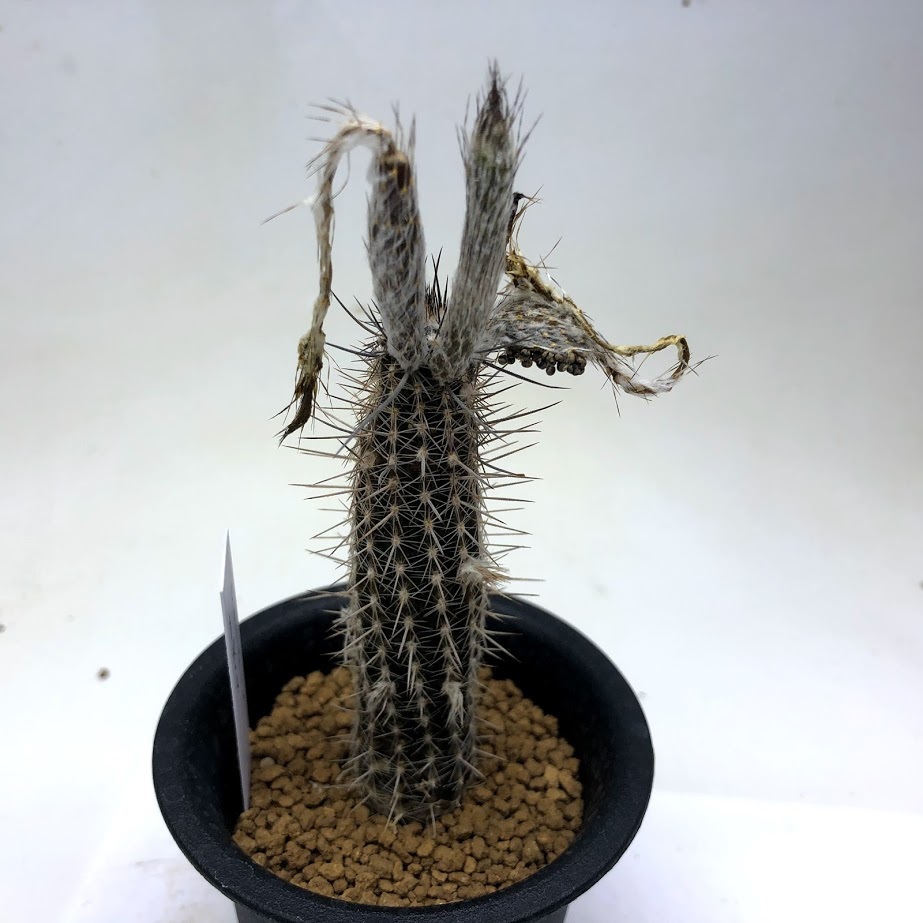 imgrc0111130156.jpg