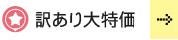 訳あり大特価品