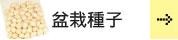 種子　〜種まきから育てたい方に