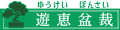 遊恵盆栽　Yahoo!店 ロゴ