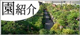 園紹介