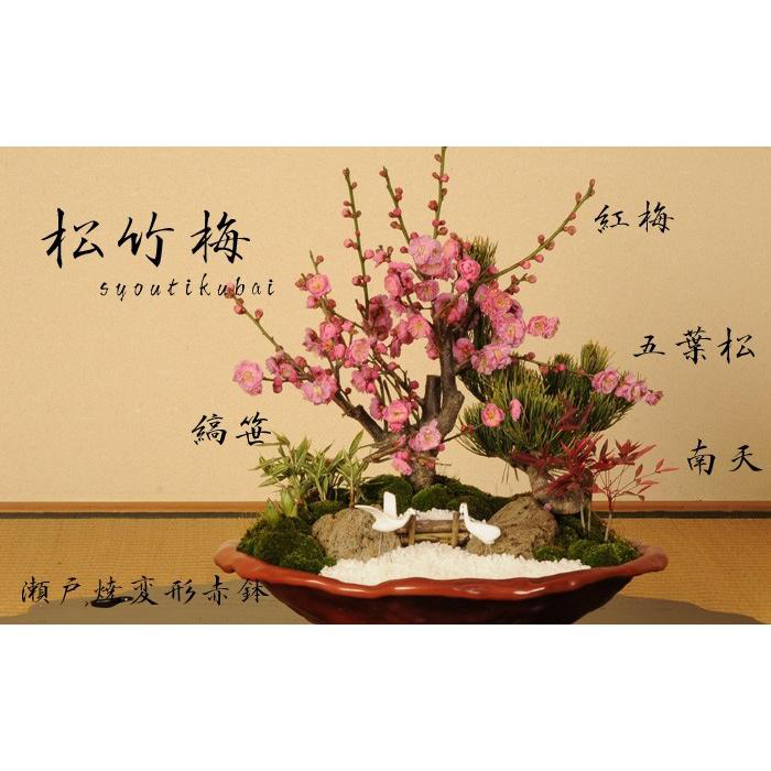 y-bonsai_6467_1.jpg