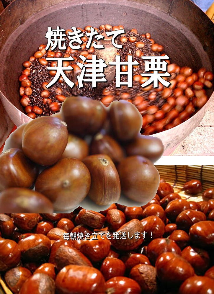 くり 送料无料 天津甘栗 焼き立て 1kg 家庭用 おためし