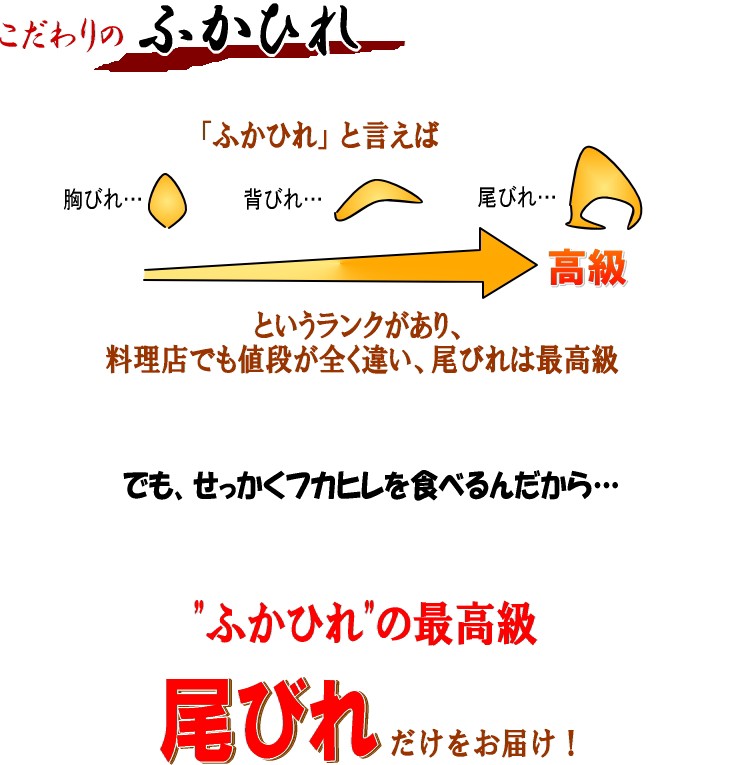 訳あり ふかひれ姿煮セット 自宅で高級フカヒレ姿煮をお得な訳アリ価格でお届け 送料無料 :wakefuka:横浜中華街通り - 通販 -  Yahoo!ショッピング