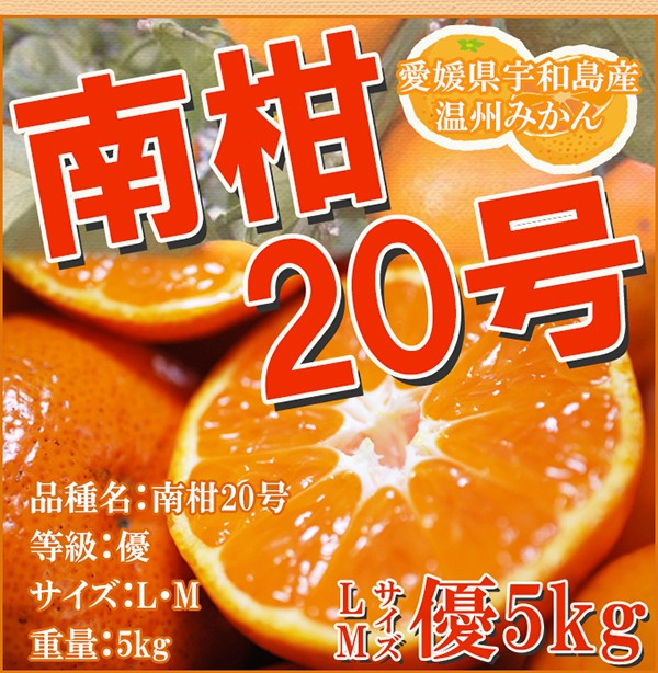 みかん 南柑20号 5kg Lサイズ Mサイズ ギフト 温州みかん 酸味