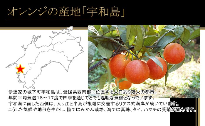 ブラッドオレンジジュース ギフト 720ml 2本 国産 愛媛県 宇和島産