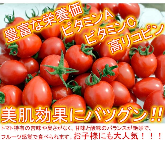 楽天市場】訳ありトマトの通販
