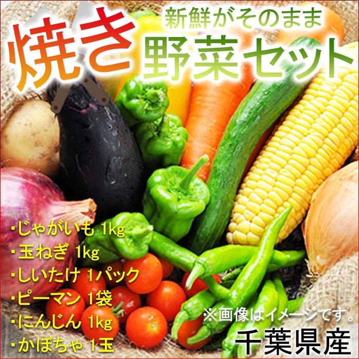 21高い素材 フル機能版 Greentest食べ物硝酸塩検査器 魚 肉 果物 野菜 環境放射線量検出器 水質tds測定器 日本語と英語の Dprd Jatimprov Go Id