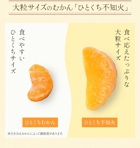 ひとくち不知火（300g） 送料込み 皮むき 冷凍みかん 九州産 冷凍みかん みかん 冷凍フルーツ ミカン フルーツ 果物 大容量｜y-hatchando｜07