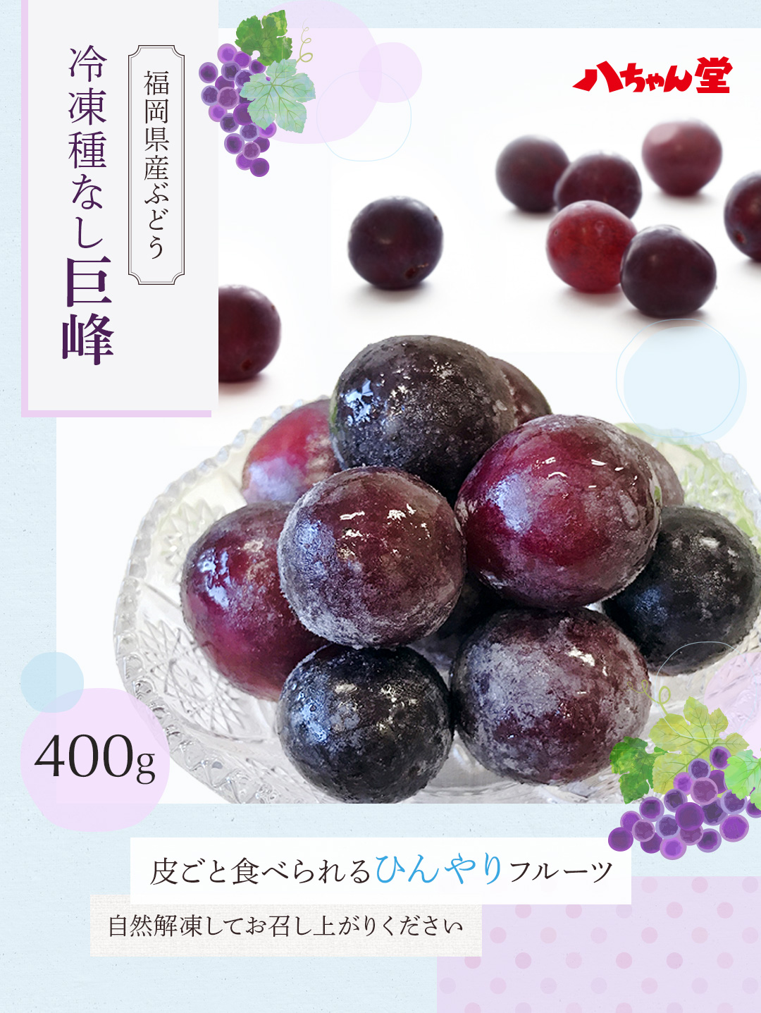 先行予約】【9月中旬頃～発送予定】種なし 巨峰 2房 （ 約 1kg