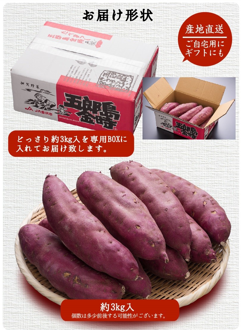 さつまいも 五郎島金時 Mサイズ 3kg サツマイモ さつま芋 加賀野菜