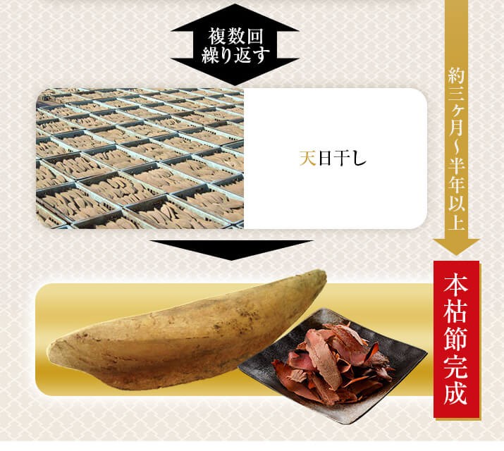 本枯節