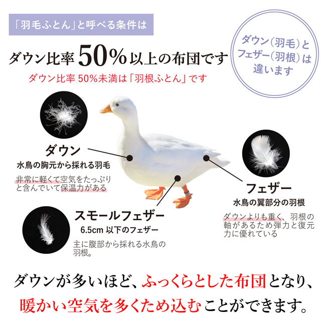 羽毛布団 合掛け 軽い 暖かい 日本製 シングル ロング 詰め物 0.7kg ホワイトダック ダウン90 掛け布団 国産 春 秋 冬 あったか 軽量 収納袋付き 京都金桝｜y-kurashi-s｜09