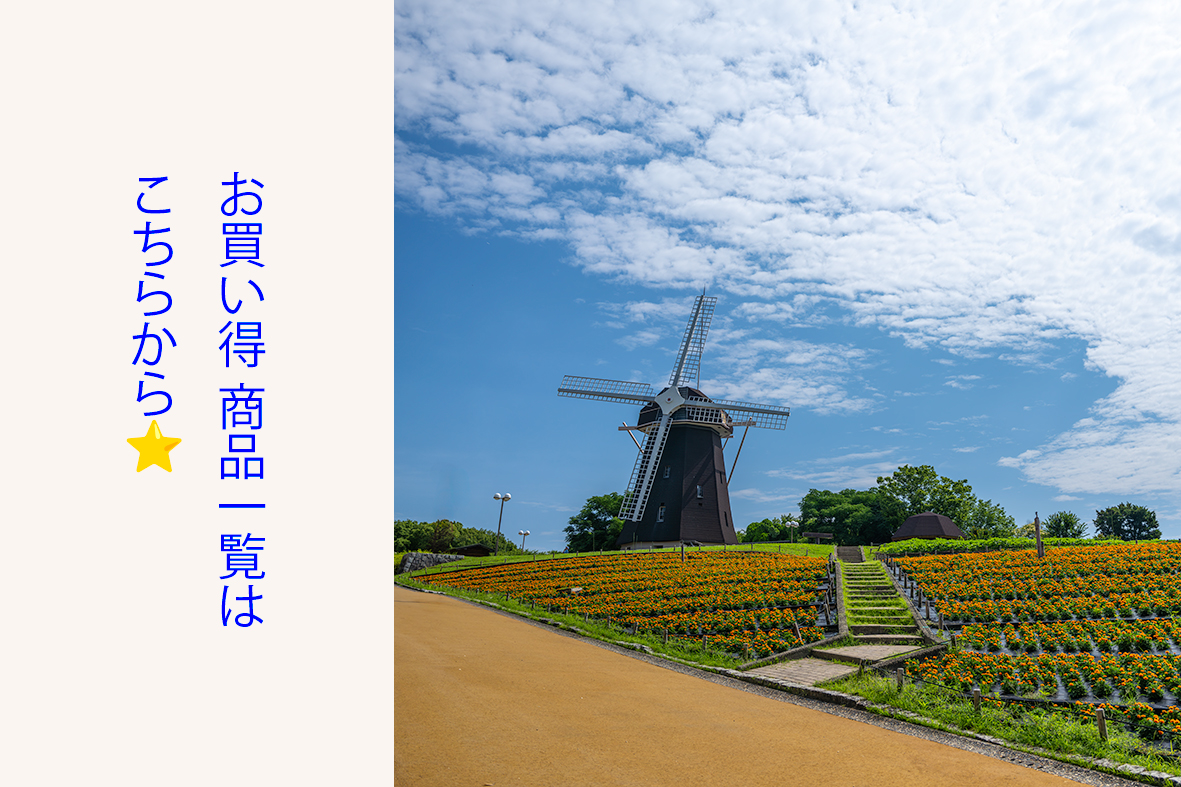 LOUIS VUITTON - ルイヴィトン ウエストポーチ モノグラム