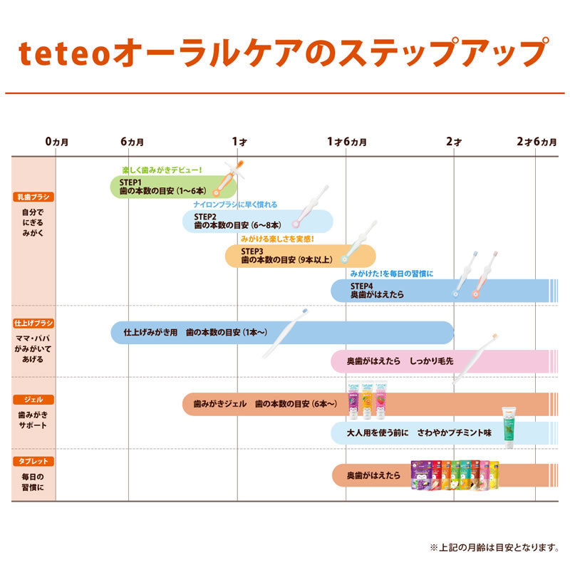 新版 テテオ はじめて歯みがき 仕上げみがき用 しっかり毛先 1個 コンビ