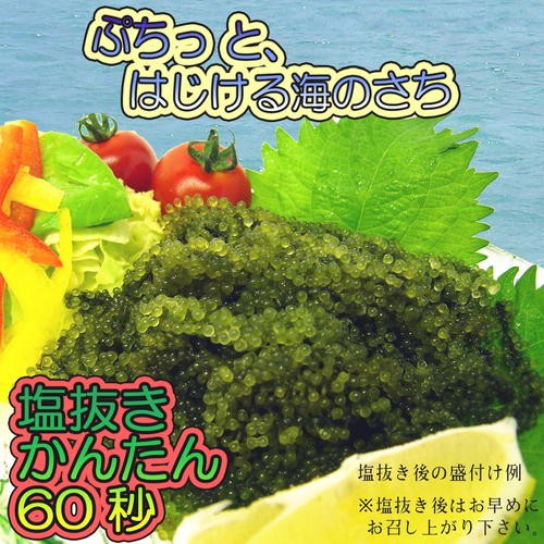 沖縄健康通販 Yahoo 店 海ぶどう 沖縄の食品 Yahoo ショッピング