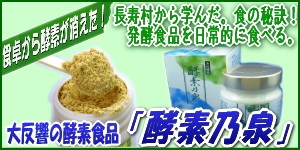 酵素乃泉（植物性発酵食品） : 沖縄健康通販 Yahoo!店 - 通販 - Yahoo