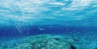 沖縄海水100%使用