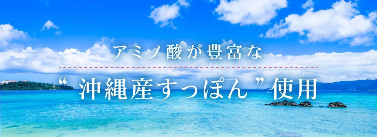 琉球美すっぽんぜりー