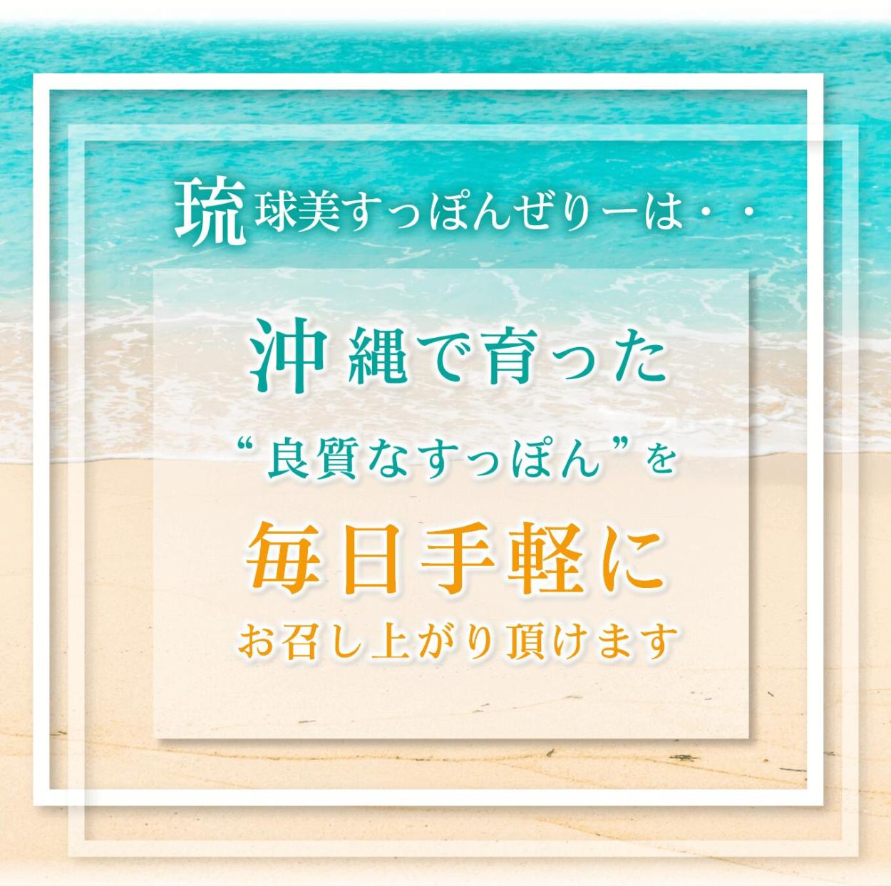 琉球美すっぽんぜりー