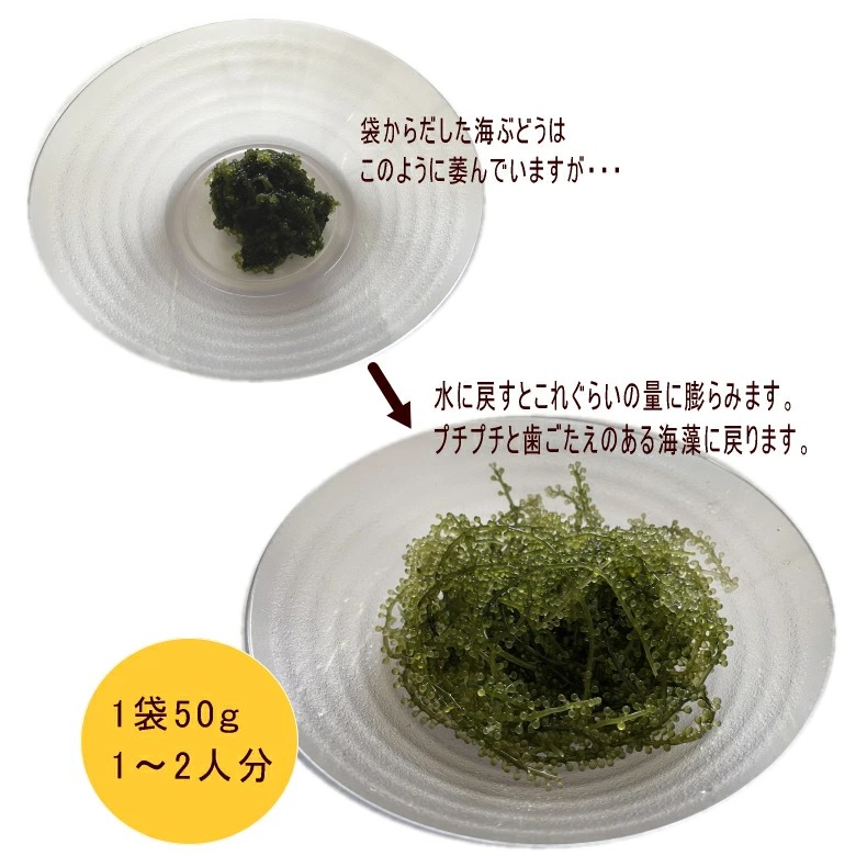 沖縄県産 感謝の海ぶどう 50g×2袋 タレ付 化粧箱なし : umib-50x2