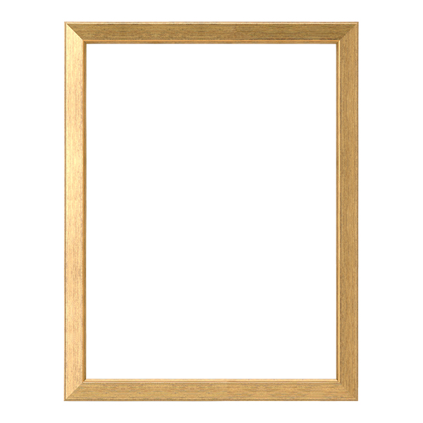 新聞額 片面サイズ 全6色 546x406mm 新聞 飾る フレーム 額縁 額装