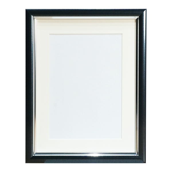 万丈（VANJOH） Vカラー肖像額 2L アイボリー PGY パープル ピンク PBK