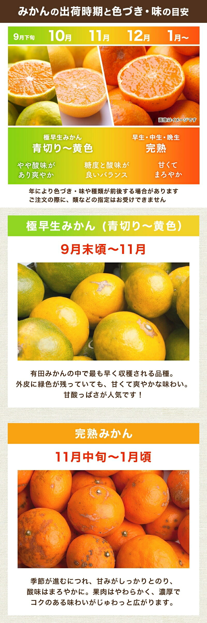 【送料無料】【訳あり】[超わけあり] 有田みかん